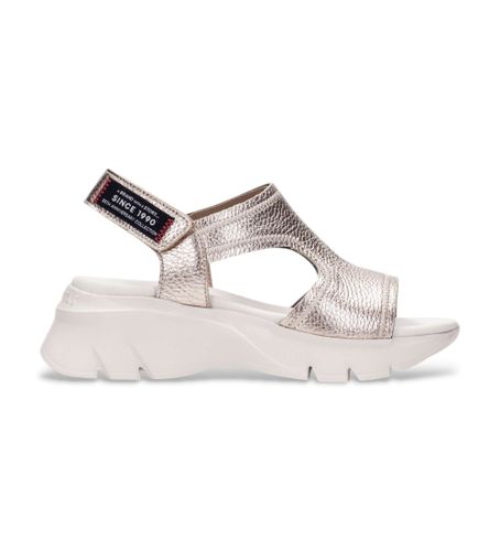 Til kvinder. HV254010 Golden Dakar-sandaler i (36), Guldfarvet, 5-8 cm, Velcro, Casual - Hispanitas - Modalova