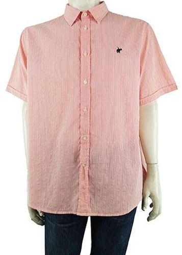 Chemise manches courtes---Orange-XXL-Masculin - peter polo - Modalova