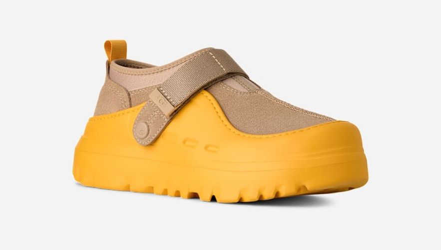 PeakMod Lowcut in /, Taille 43, Daim - Ugg - Modalova