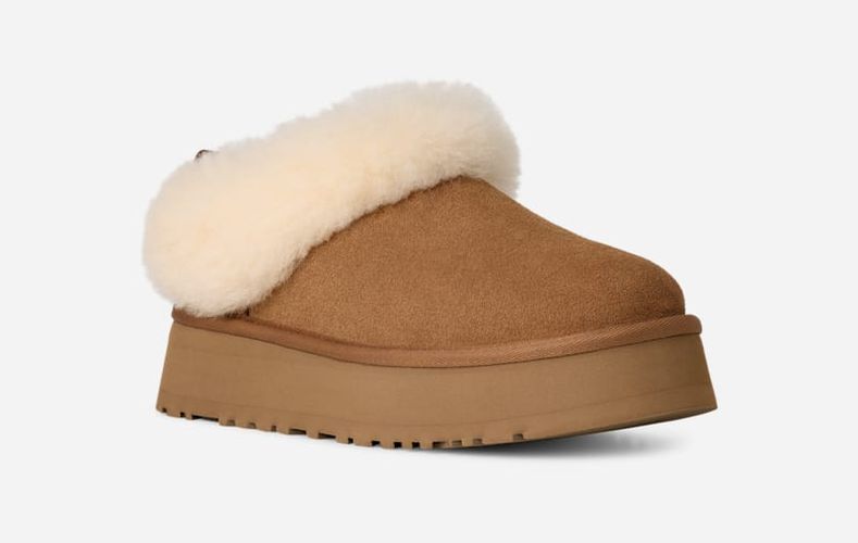 Tazzelle | UE in Brown, Taille 43, Daim - Ugg - Modalova