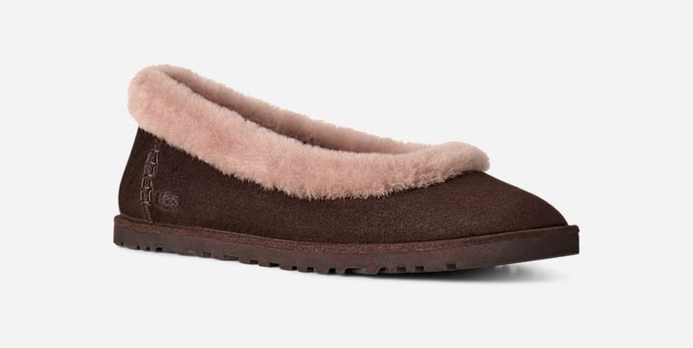 Zora Ballerine in , Taille 39, Daim - Ugg - Modalova