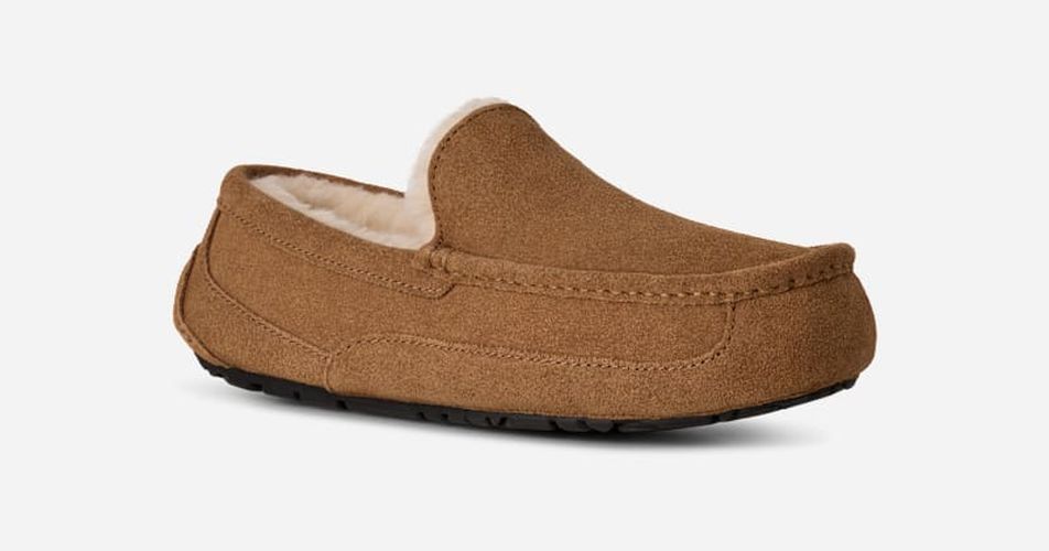 Ascot | UE in Brown, Taille 45, Daim - Ugg - Modalova