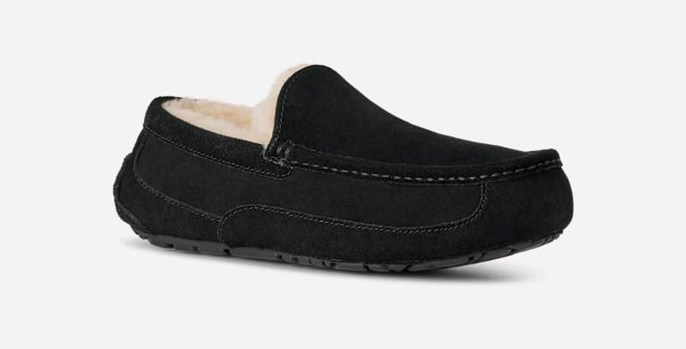 Chausson Ascot | UE in , Taille 41, Daim - Ugg - Modalova