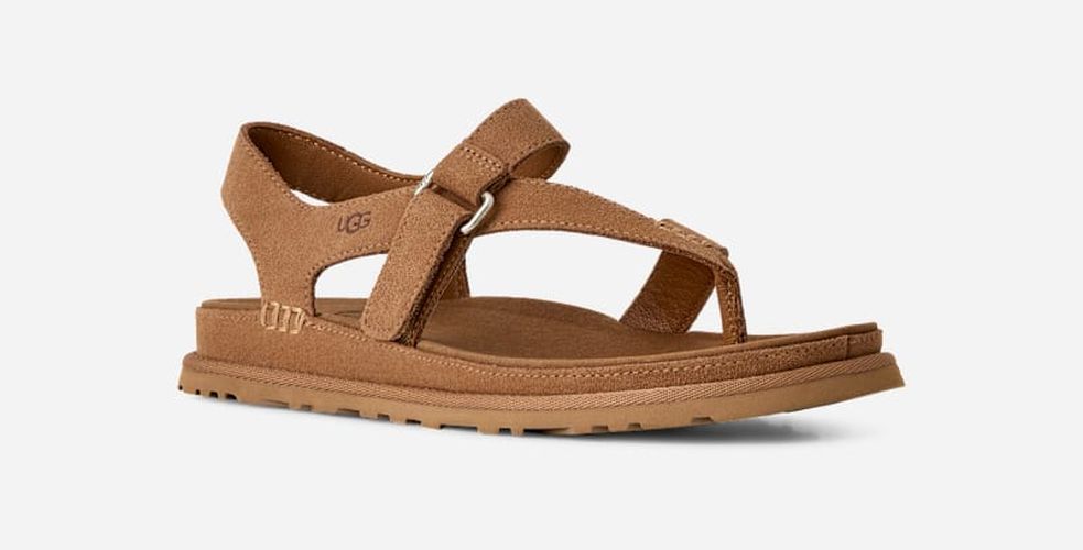 Sandale GoldenGaze Toe Post in Brown, Taille 36, Daim - Ugg - Modalova