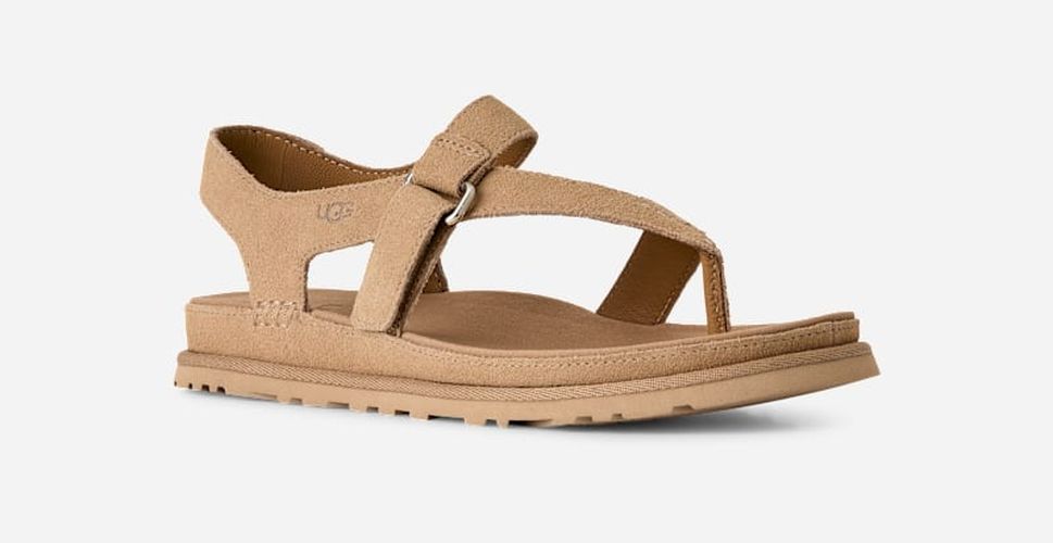 Sandale GoldenGaze Toe Post in Beige, Taille 36, Daim - Ugg - Modalova