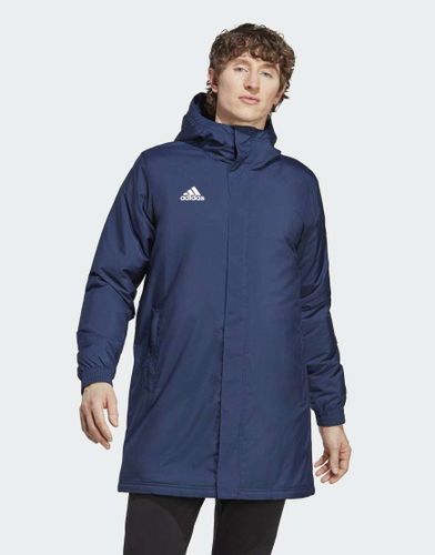 Entrada 22 Stadium - Veste - marine - Adidas Performance - Modalova