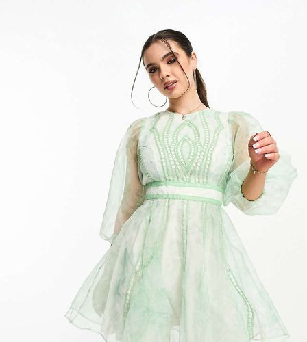 ASOS DESIGN Petite - Robe patineuse courte en organza imprimé avec broderies et empiècement dentelle - Vert - Asos Petite - Modalova