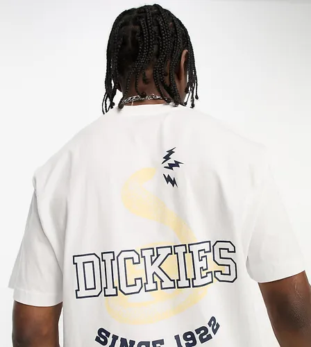 Exclusivité ASOS - - Cascade Locks - T-shirt à imprimé serpent au dos - Dickies - Modalova