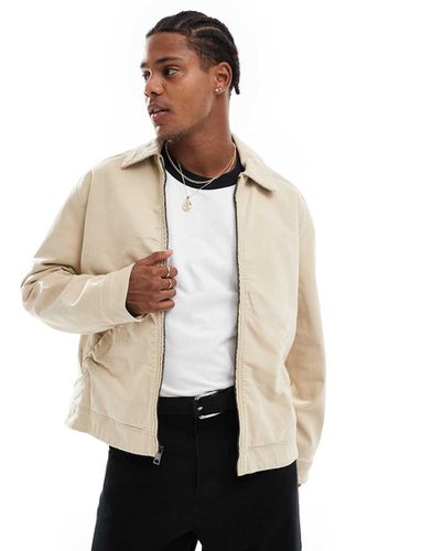 Veste style workwear à col en velours côtelé coupe carrée - Beige - Hollister - Modalova