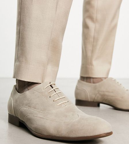Pointure large - Chaussures Oxford à lacets en imitation daim - Sable - Truffle Collection - Modalova