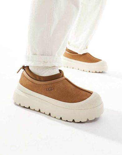 Tasman - Chaussons hybrides - Fauve - Ugg - Modalova