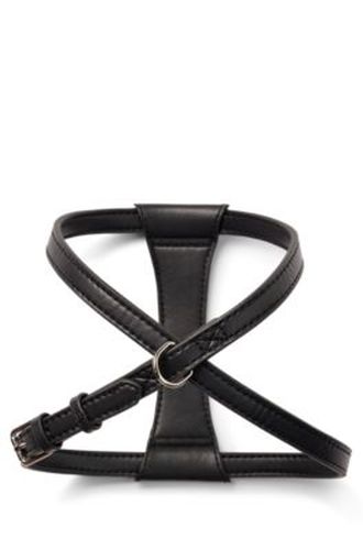 Harnais pour chien en cuir recyclé - Boss - Modalova