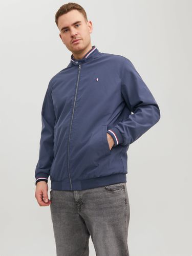 Veste Bomber - Jack & Jones - Modalova