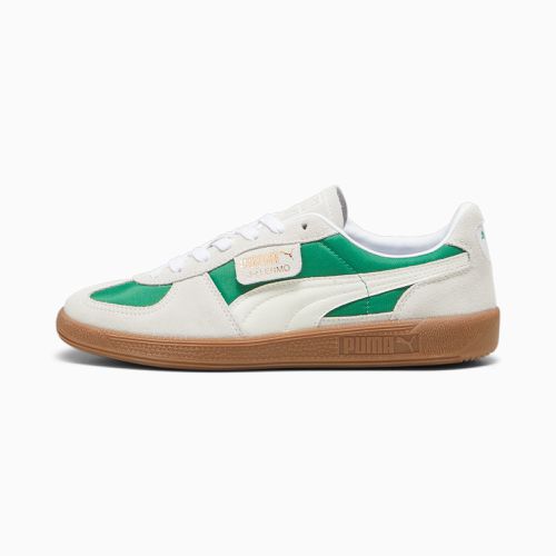 Chaussure Sneakers Palermo OG, Vert/Blanc - PUMA - Modalova