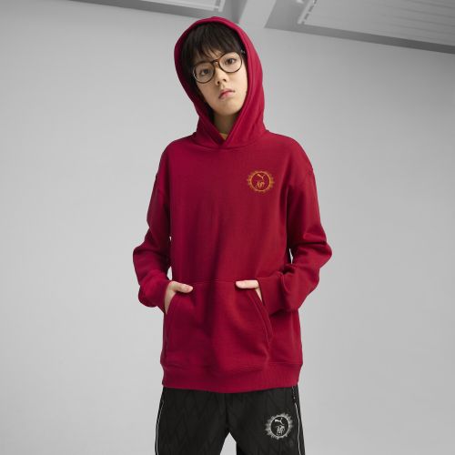 Hoodie décontracté x HARRY POTTER Enfant et Adolescent, Vêtements, , 15-16Y - PUMA - Modalova
