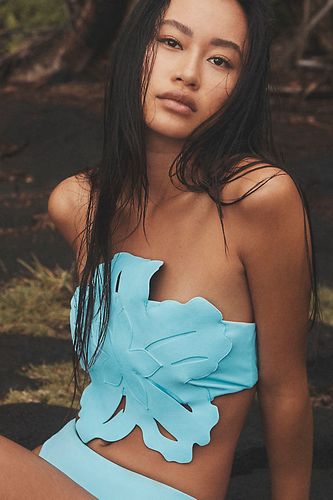 X Anthropologie Maxi Hawaiian Bikini Top en Blue, taille: XS - Bahia Maria - Modalova