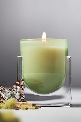 Found Notes Cedar Leaf & Oak Boxed Candle par en Green taille: XS - Found Notes by Anthropologie - Modalova