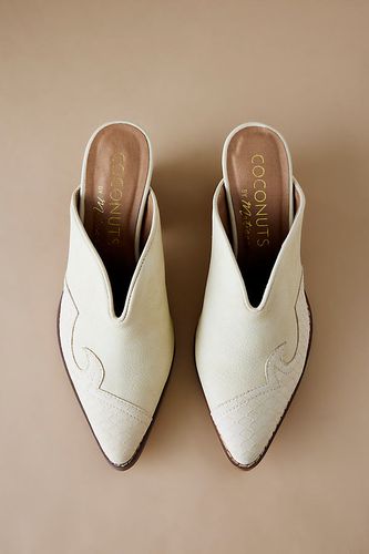 Talons Mules Colt Coconuts par Matisse par en taille: 41 chez Anthropologie - Coconuts by Matisse - Modalova