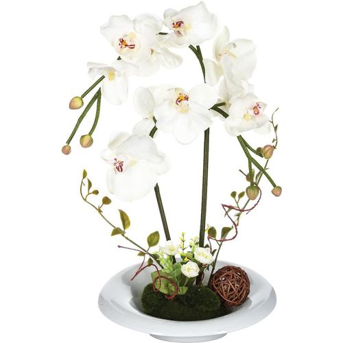 Composition orchidée en vase H46 - 3S. x Home - Modalova