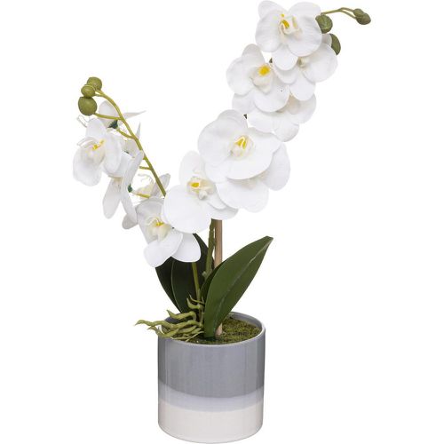 Orchidee Pot Céramique Reactive modèle A H 45 - 3S. x Home - Modalova
