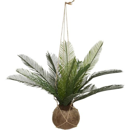 Palmier Pot de Coco Cuba H 50 - 3S. x Home - Modalova