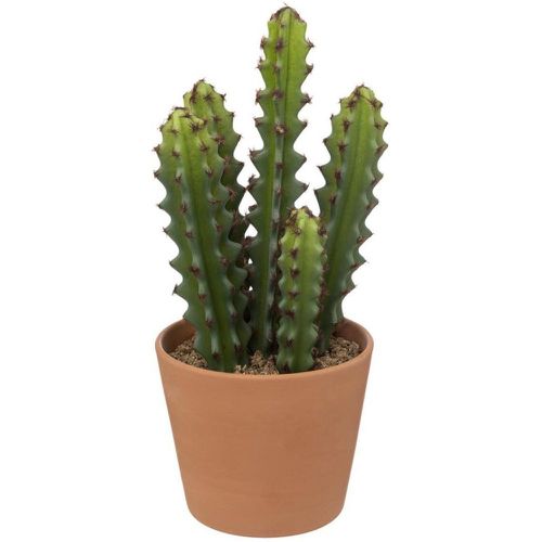 Cactus en pot Ali terracotta H25cm - 3S. x Home - Modalova