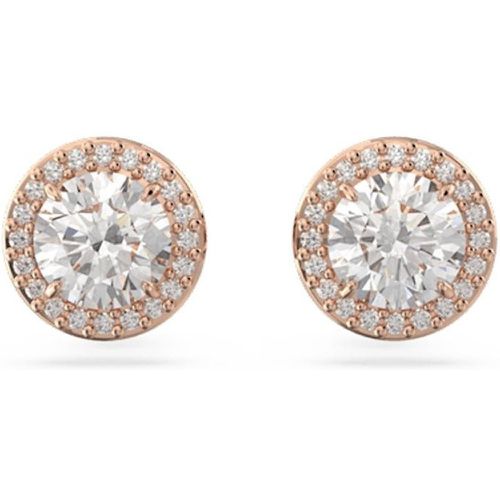 Boucles d?oreilles 5636275 - Swarovski - Modalova