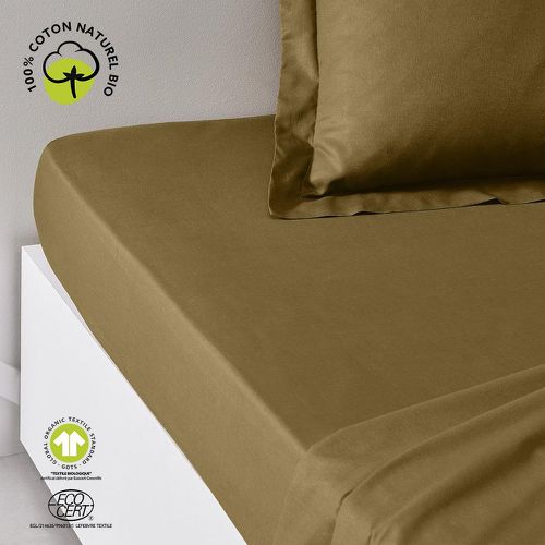 Drap-Housse en Coton Organic Bronze - Today - Modalova