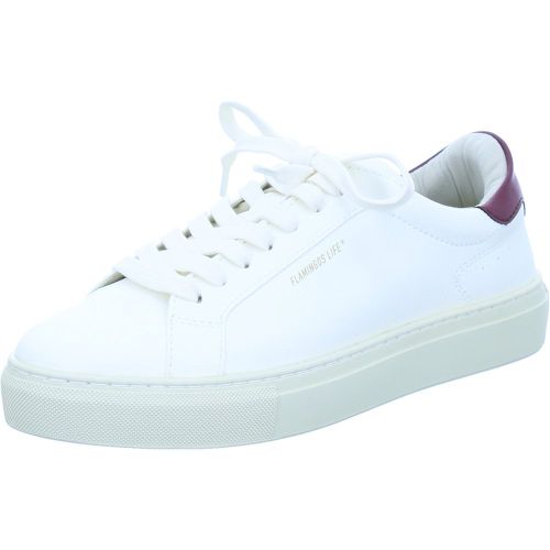 Flamingos Life Schuhe Sneakers 38 - Flamingos Life Schuhe - Modalova