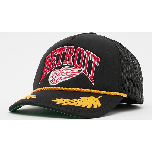 Detroit Red Wings Mitchell & Ness 2 Tone Team Arch Cap