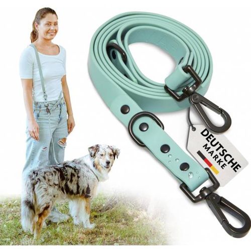 Laisse réglable pour chien menthe - FAVVITY PET - Modalova