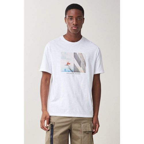 T-shirt graphique en coton PALM BEACH - Salsa - Modalova