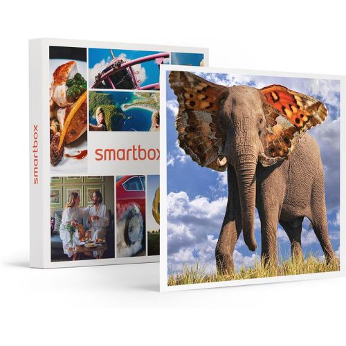 Maîtrisez Photoshop : Cours en ligne avec Skilleos - Coffret Cadeau Multi-thèmes - SMARTBOX - Modalova