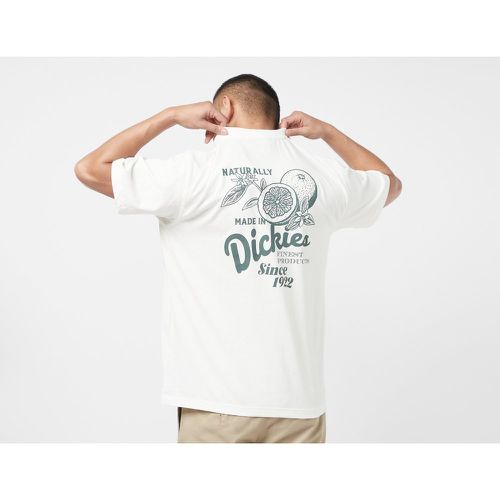 Dickies T-Shirt Raven, White - Dickies - Modalova