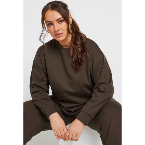 Curve Chocolate Brown Crew Neck Sweatshirt, Grande Taille & Courbes - Yours - Modalova