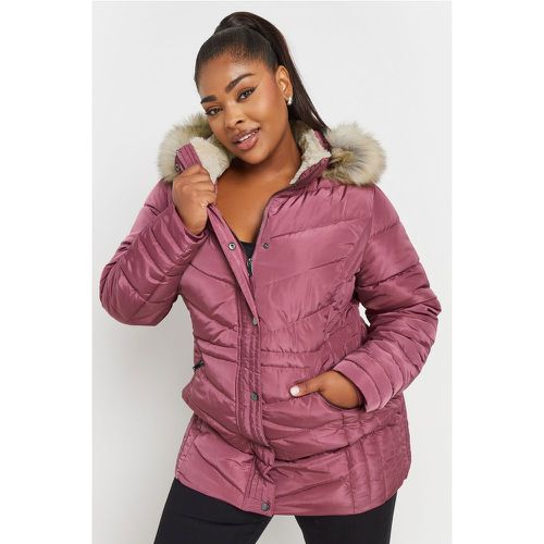 Curve Pink Padded Coat, Grande Taille & Courbes - Yours - Modalova