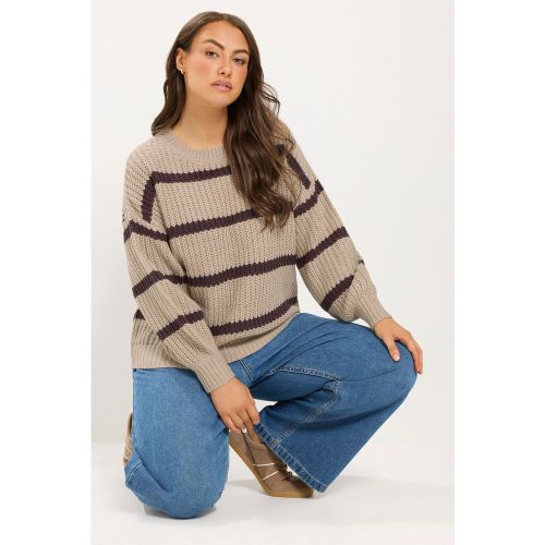 Pull En Maille Gaufrée Marron Naturel À Rayures Size 46-48 - Yours - Modalova