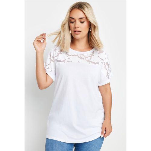 Curve White Floral Mesh Panel Tshirt, Grande Taille & Courbes - Yours - Modalova