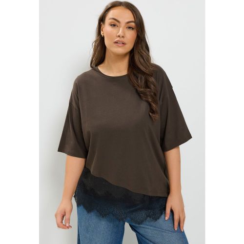 Tshirt Asymétrique En Satin Marron Chocolat Avec Ourlet En Dentelle Size 50-52 - Yours - Modalova