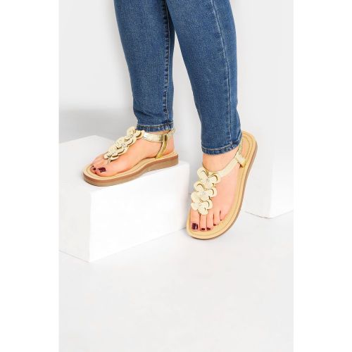 Sandales Dorées Papillons Pieds Extra Larges Eee Size 38EEE - Yours - Modalova