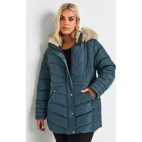 Curve Blue Padded Coat, Grande Taille & Courbes - Yours - Modalova