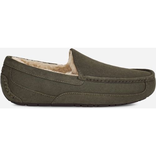 Chausson Ascot | UE in Green, Taille 40, Cuir - Ugg - Modalova