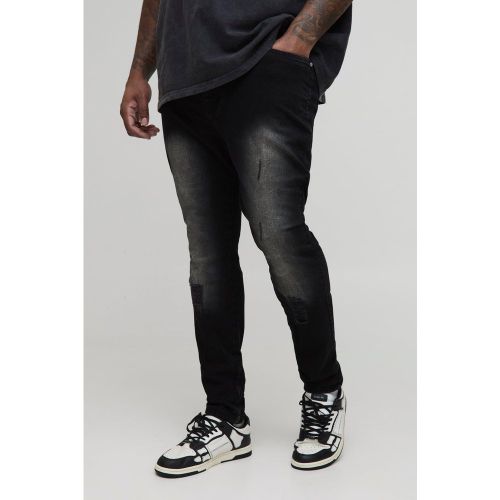Grande taille - Jean super skinny - 38 - Boohooman - Modalova