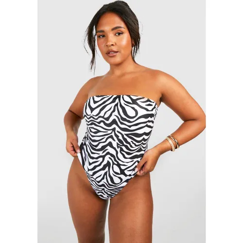 Grande Taille - Maillot De Bain Bandeau Zébré - 56 - boohoo - Modalova