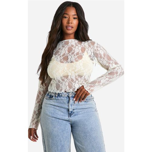 Grande Taille - Top En Dentelle - 44 - boohoo - Modalova