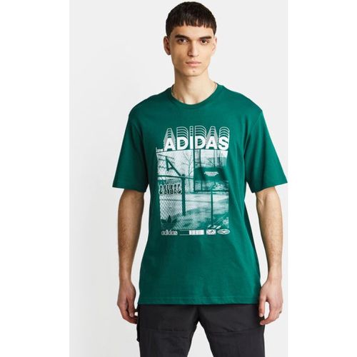 Adidas Bb Court - Homme T-shirts - Adidas - Modalova