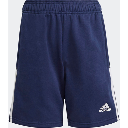 Tiro 21 Sweat - Primaire-College Shorts - Adidas - Modalova