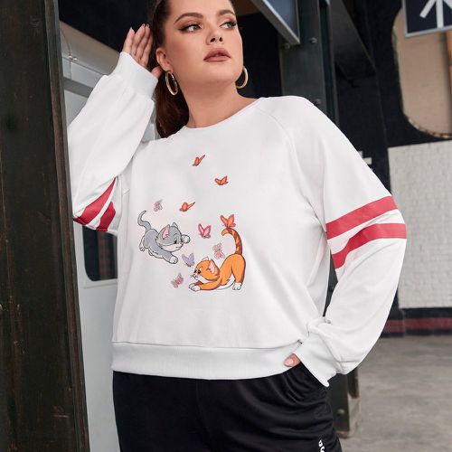 Sweat-shirt à imprimé chat & papillon manches raglan - SHEIN - Modalova
