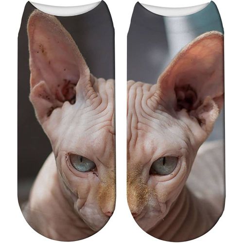Chaussettes à imprimé chat - SHEIN - Modalova