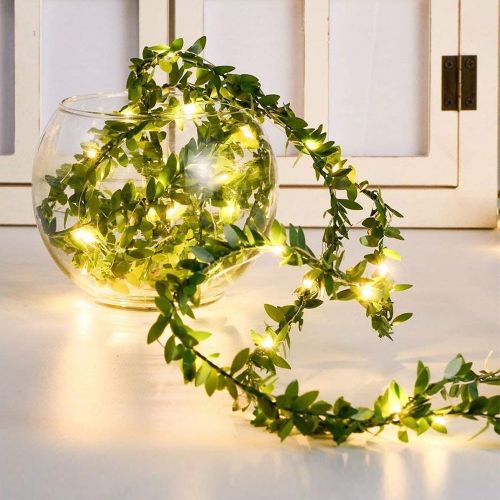 Pièce de 2 m / 20 lumières, 4 m / 40 lumières, 6 m / 60 lumières, 10 m / 100 lumières. Guirlande lumineuse féerique de feuillages verts artifici - SHEIN - Modalova